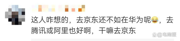 前华为最帅HR入职京东，开始帮刘强东直播带货(华为,京东,东直,播带货,HR......)