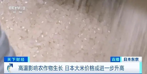 日本开发出适用于治疗部分类型胰腺癌的硼剂(适用于,日本,胰腺癌,类型,治疗......)