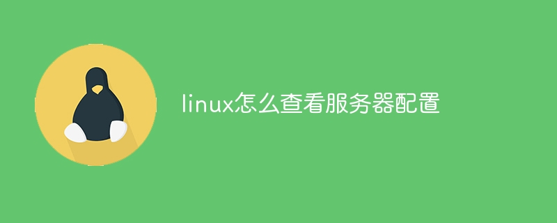 linux怎么查看服务器配置（服务器配置.查看.linux...）