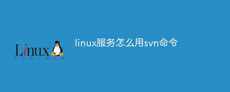 linux服务怎么用svn命令（命令.服务.linux.svn...）