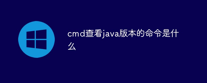 sql中exec是什么意思（sql.exec...）