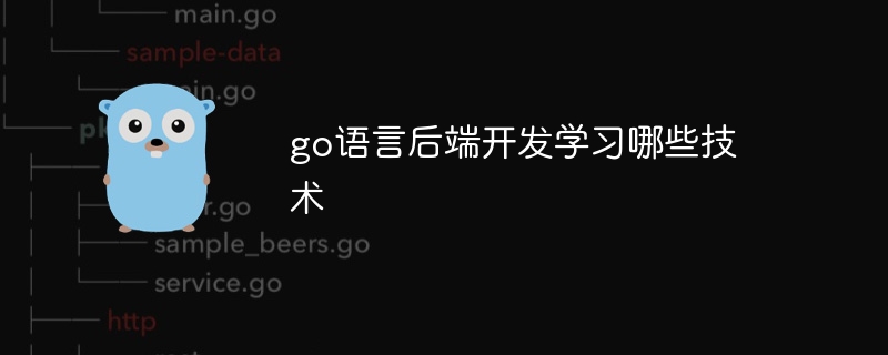 go语言后端开发学习哪些技术（后端.语言.开发.学习.技术...）