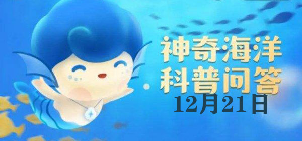 我国海岛最少的沿海省市是（海岛.沿海.最少）