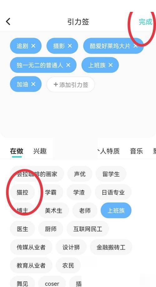 投影仪水平吊装方法（安全稳定的投影仪安装与调整技巧）（投影仪.吊装.水平）