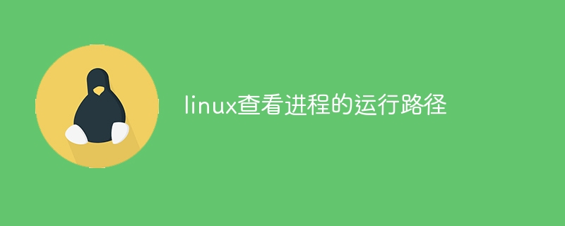 nginx怎么启动后台包（后台.启动.nginx...）