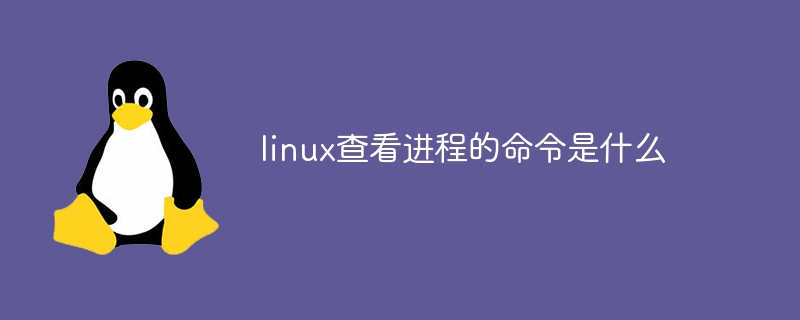 MacOS和Linux区别（区别.MacOS.Linux...）