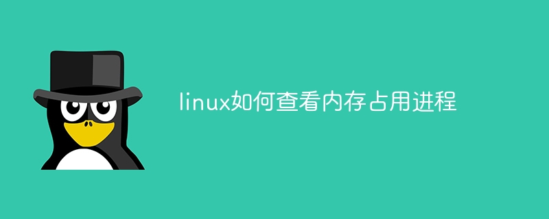 mac提示未检测到摄像头怎么办（检测到.摄像头.提示.mac...）