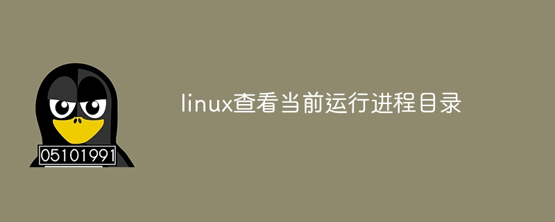linux查看当前运行进程目录（进程.运行.目录.查看.linux...）