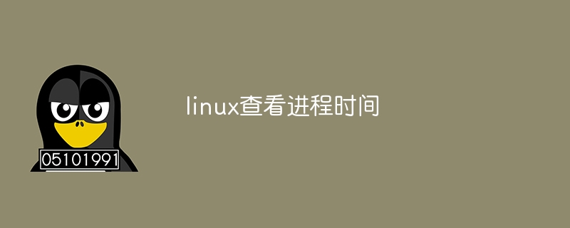linux查看进程时间（进程.时间.查看.linux...）