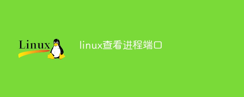 linux查看进程端口（端口.进程.查看.linux...）