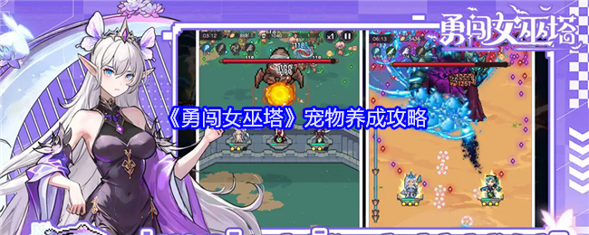 《勇闯女巫塔》宠物养成攻略（女巫.养成.宠物）