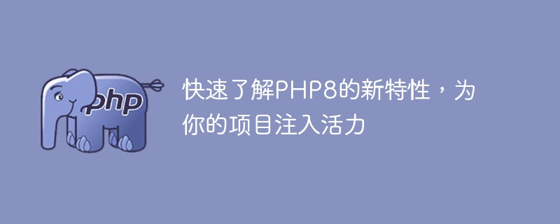 了解PHP8的最新功能，为你的项目注入活力的快速指南（注入.活力.快速.功能.指南...）