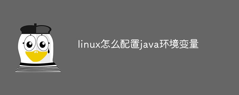 linux怎么配置java环境变量（环境变量.配置.linux.java...）