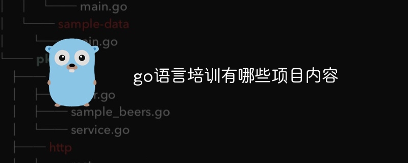 go语言培训有哪些项目内容（语言.项目.内容.培训.有哪些...）