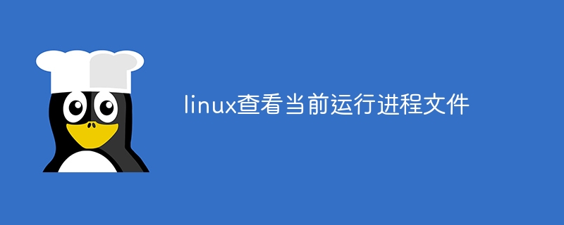 linux查看当前运行进程文件（进程.运行.文件.查看.linux...）