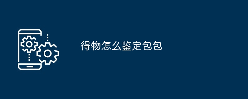 得物怎么鉴定包包