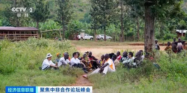 中国农技在非洲大陆生根发芽！菌草技术成非洲人民“致富草”→(非洲,农技,生根,发芽,中国......)