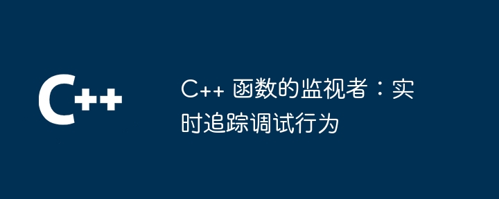 C++ 函数的监视者：实时追踪调试行为（监视.函数.调试.实时.追踪...）