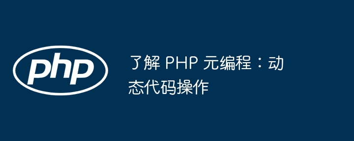了解 PHP 元编程：动态代码操作（编程.代码.操作.动态.PHP...）