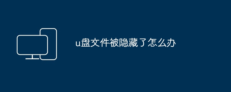 u盘文件被隐藏了怎么办（隐藏.文件）