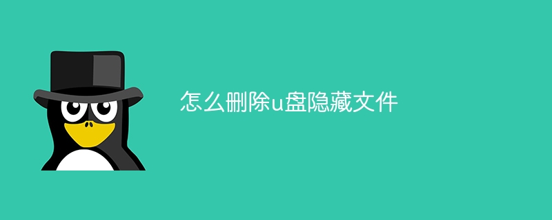 怎么删除u盘隐藏文件（删除.隐藏文件...）
