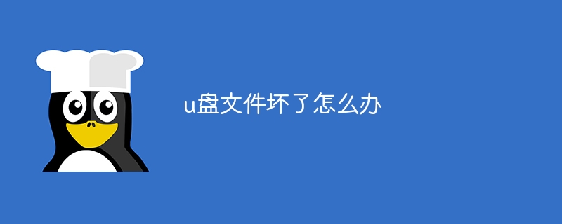 u盘文件坏了怎么办（文件...）