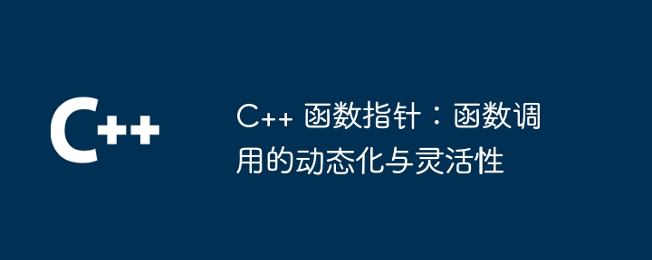 C++ 函数指针：函数调用的动态化与灵活性（函数.灵活性.指针.化与.调用...）