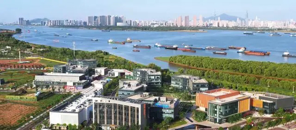 为科创企业搭“桥”！(企业......)