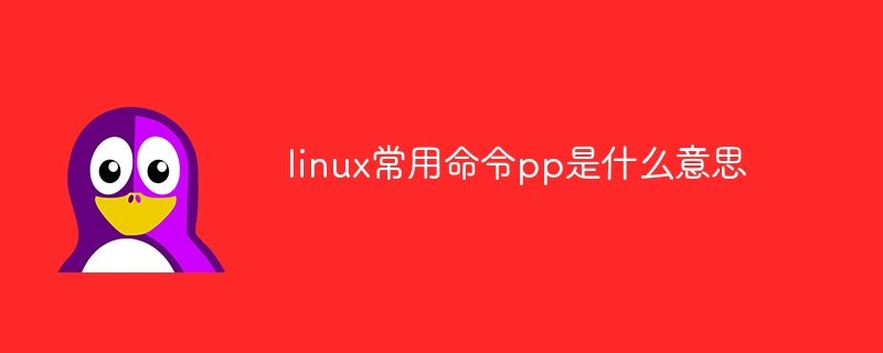 linux常用命令pp是什么意思（常用命令.linux.pp...）