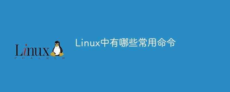 Linux中有哪些常用命令（中有.常用命令.Linux...）