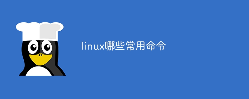 linux哪些常用命令（常用命令.linux...）