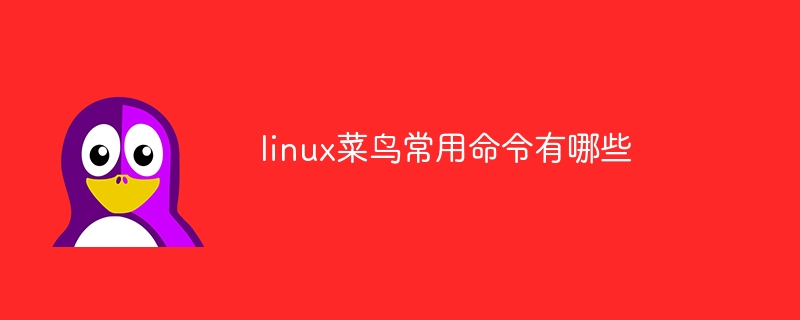 linux菜鸟常用命令有哪些（菜鸟.常用命令.有哪些.linux...）