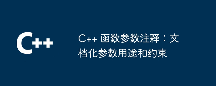 C++ 函数参数注释：文档化参数用途和约束（参数.注释.函数.约束.用途...）