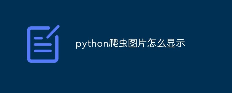python爬虫图片怎么显示（爬虫.显示.图片.python...）