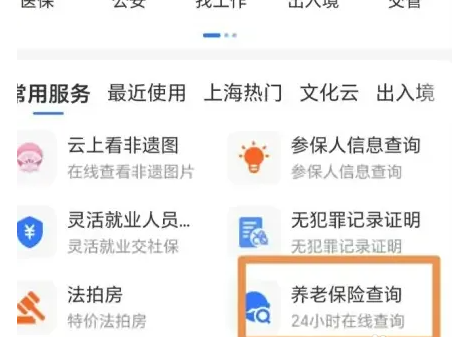 支付宝怎么查询养老保险（养老保险.支付宝.查询）