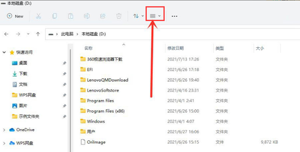 Win11怎么查看隐藏项目 Win11查看隐藏项目的方法（隐藏.项目.查看）