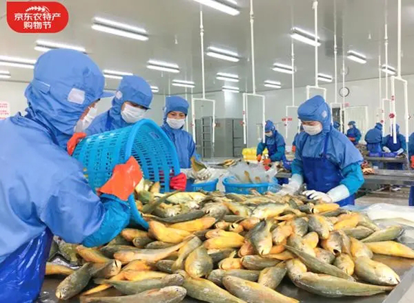 第三届京东农特产购物节线下启动(第三届,特产,京东,启动,购物......)