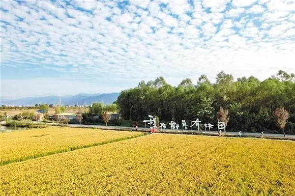 好吃 好看 好价 好玩2024年中国农民丰收节西安市级主场活动举行(西安,市级,丰收,年中,主场......)