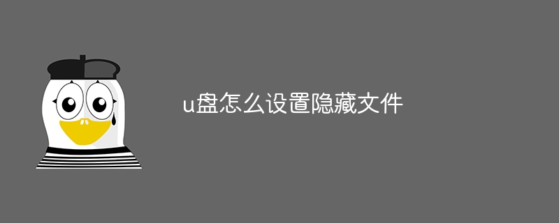 u盘怎么设置隐藏文件（隐藏文件.设置...）