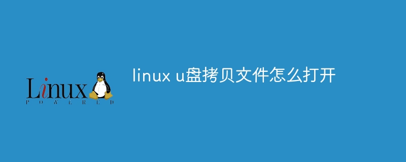 linux u盘拷贝文件怎么打开（拷贝.打开.文件.linux...）