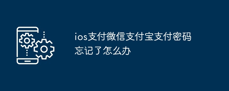 ios支付微信支付宝支付密码忘记了怎么办（支付.支付宝.密码）