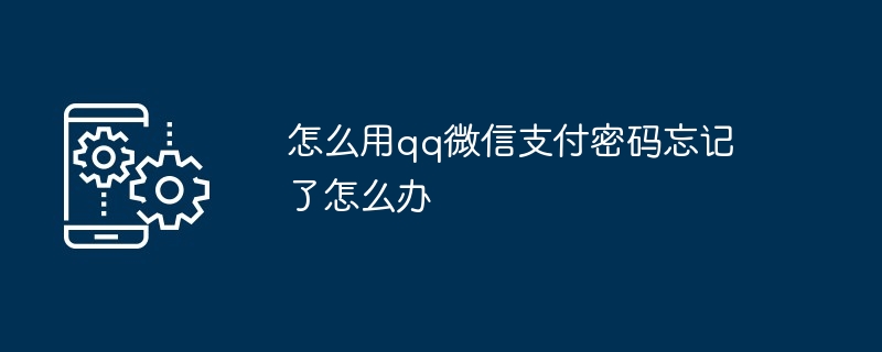 怎么用qq微信支付密码忘记了怎么办（支付.密码.忘记了）