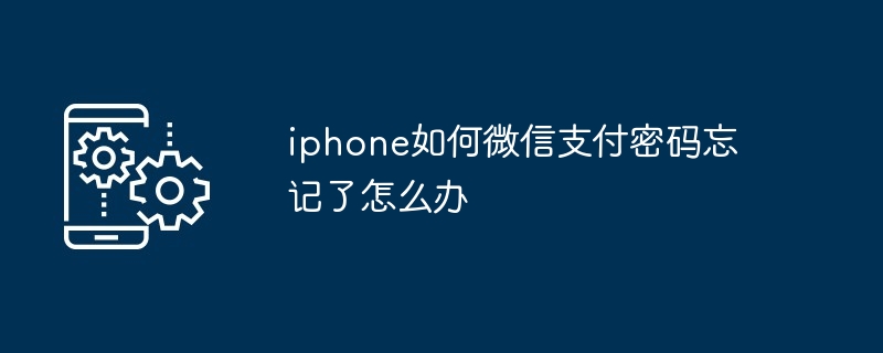 iphone如何微信支付密码忘记了怎么办（支付.密码.忘记了）