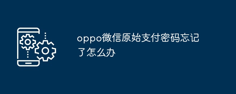 oppo微信原始支付密码忘记了怎么办（原始.支付.密码）
