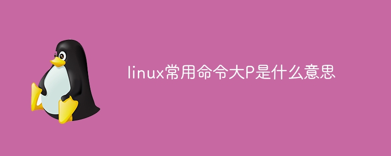 linux常用命令$干什么（干什么.常用命令.linux...）