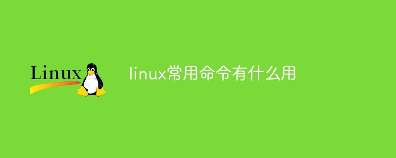 linux常用命令有什么用（什么用.常用命令.linux...）