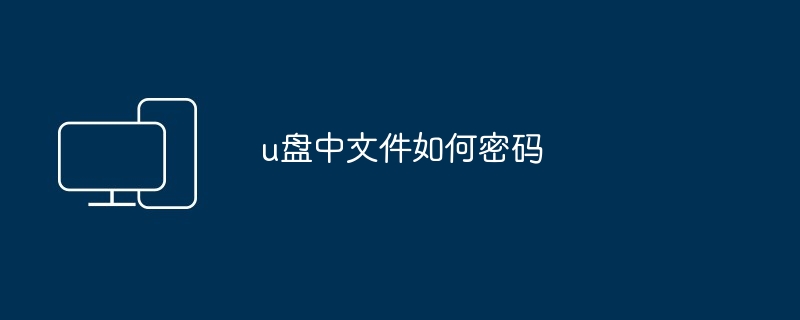 u盘中文件如何密码（盘中.密码.文件）