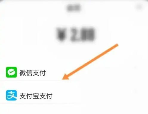 233乐园怎么办会员 233乐园开通会员教程（乐园.会员.开通）