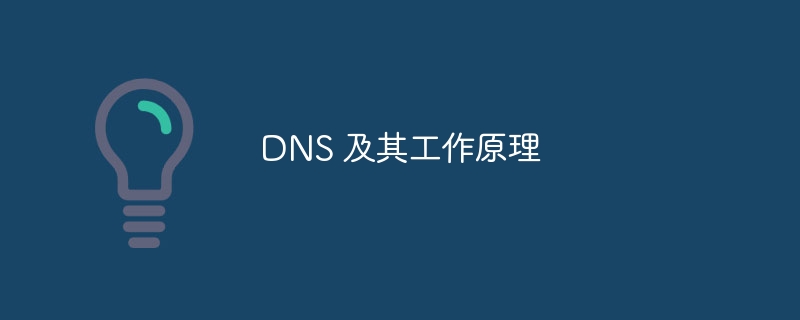 DNS 及其工作原理（工作原理.DNS...）