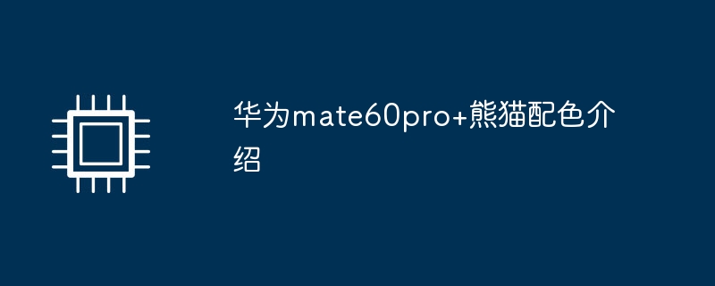 华为mate60pro+熊猫配色介绍（华为.熊猫.配色）